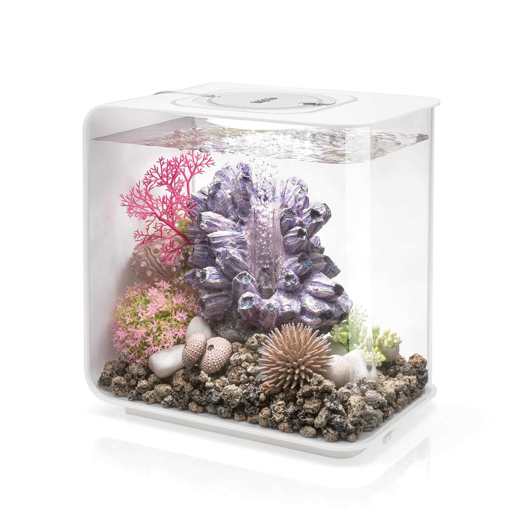 Pet Supplies K426464