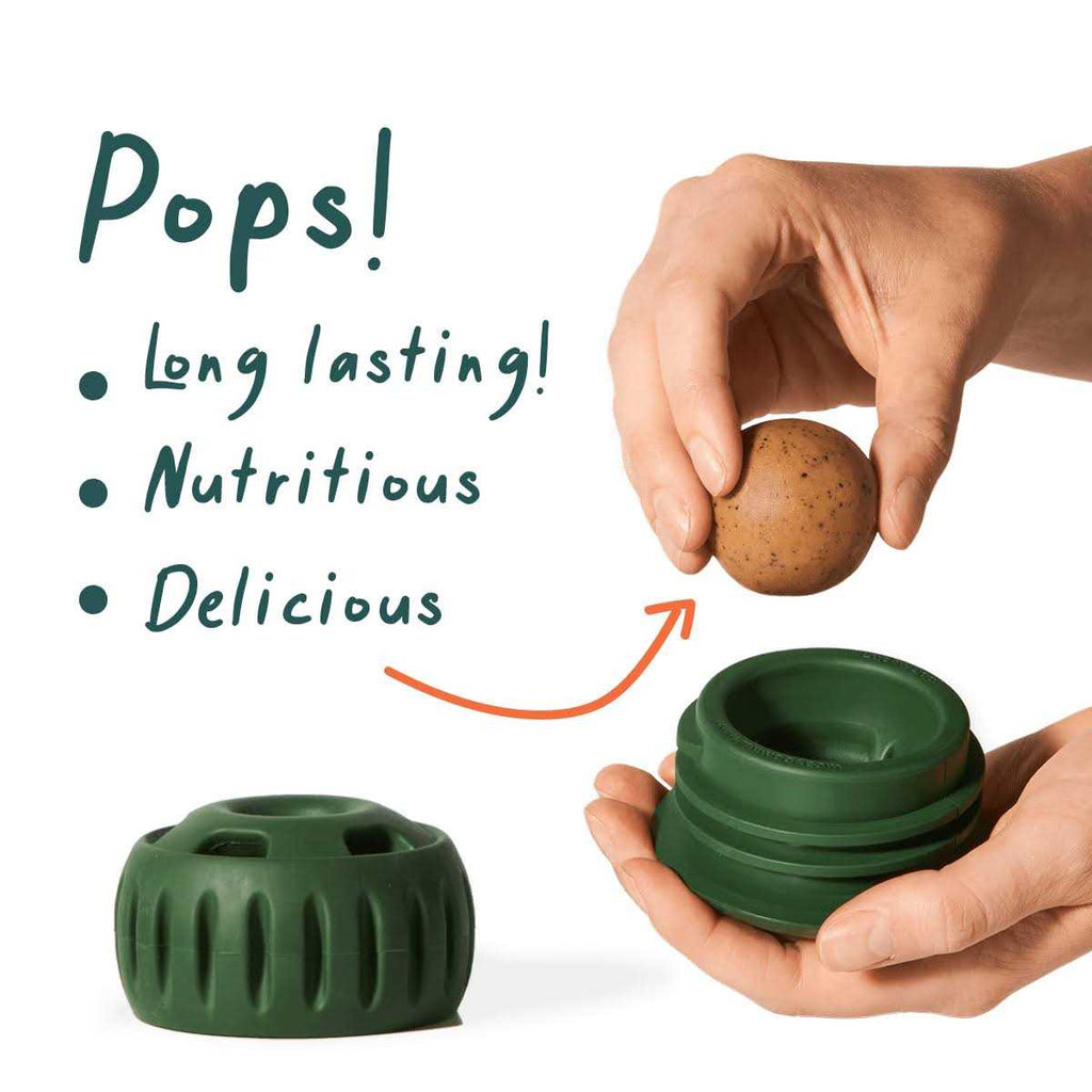 Pupsicle Starter Pack Treat M786