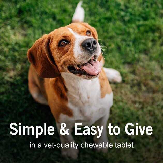 Worm X Plus Pet Supplies B370672