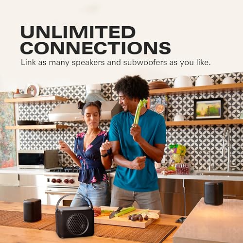 Wireless Portable Subwoofer with Carry Strap N829412
