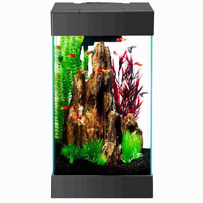15 Column LED Aquarium Starter Kit O235704