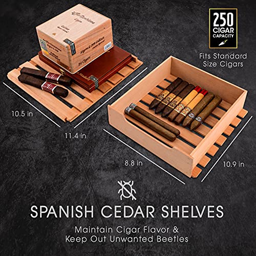 250 Cigar Cooler Humidor with Stainless Steel Trim Finish Cabinet, Spanish Cedar Wood Shelves and Drawer Y11401