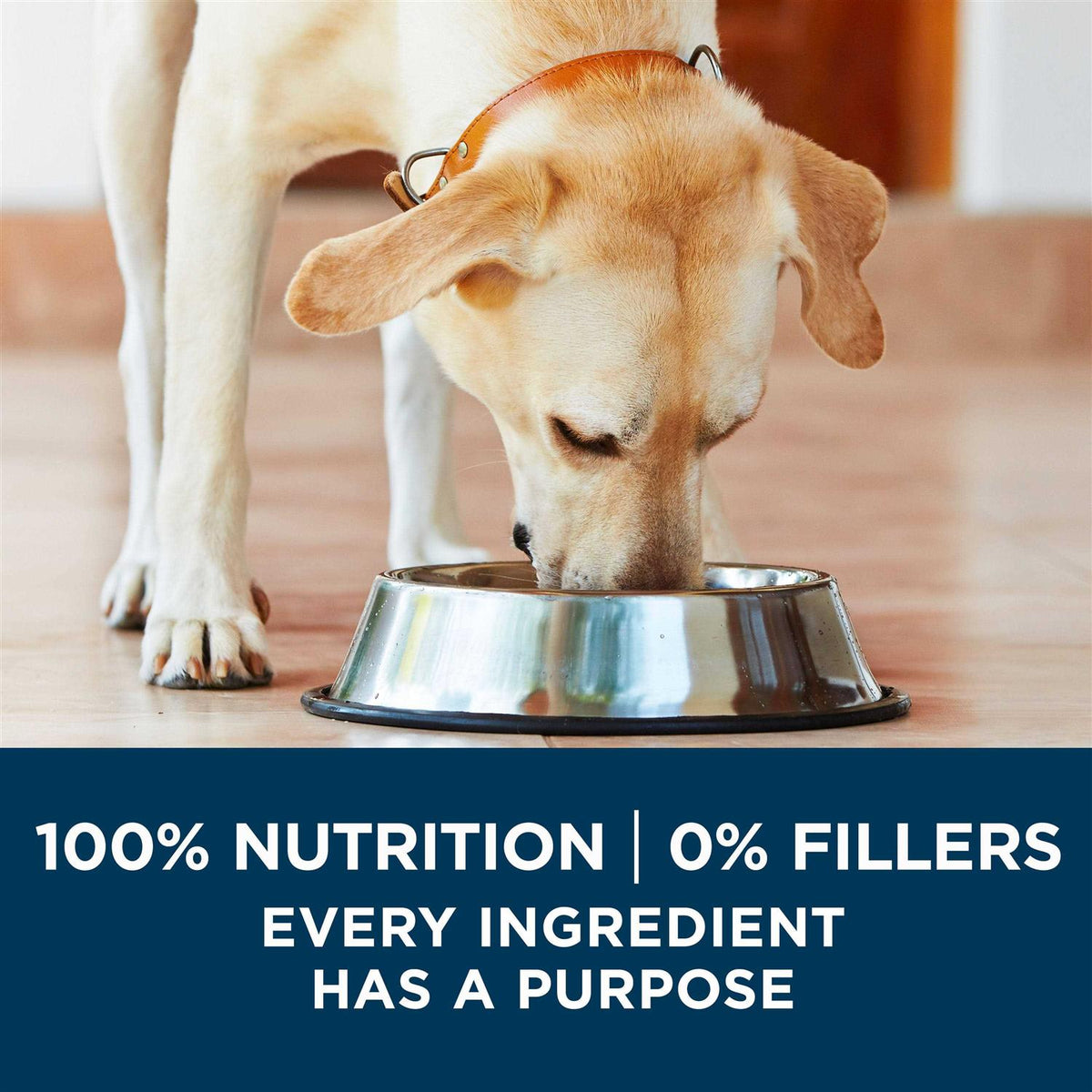 Large Breed Formula Adult Dry Dog Food I6128