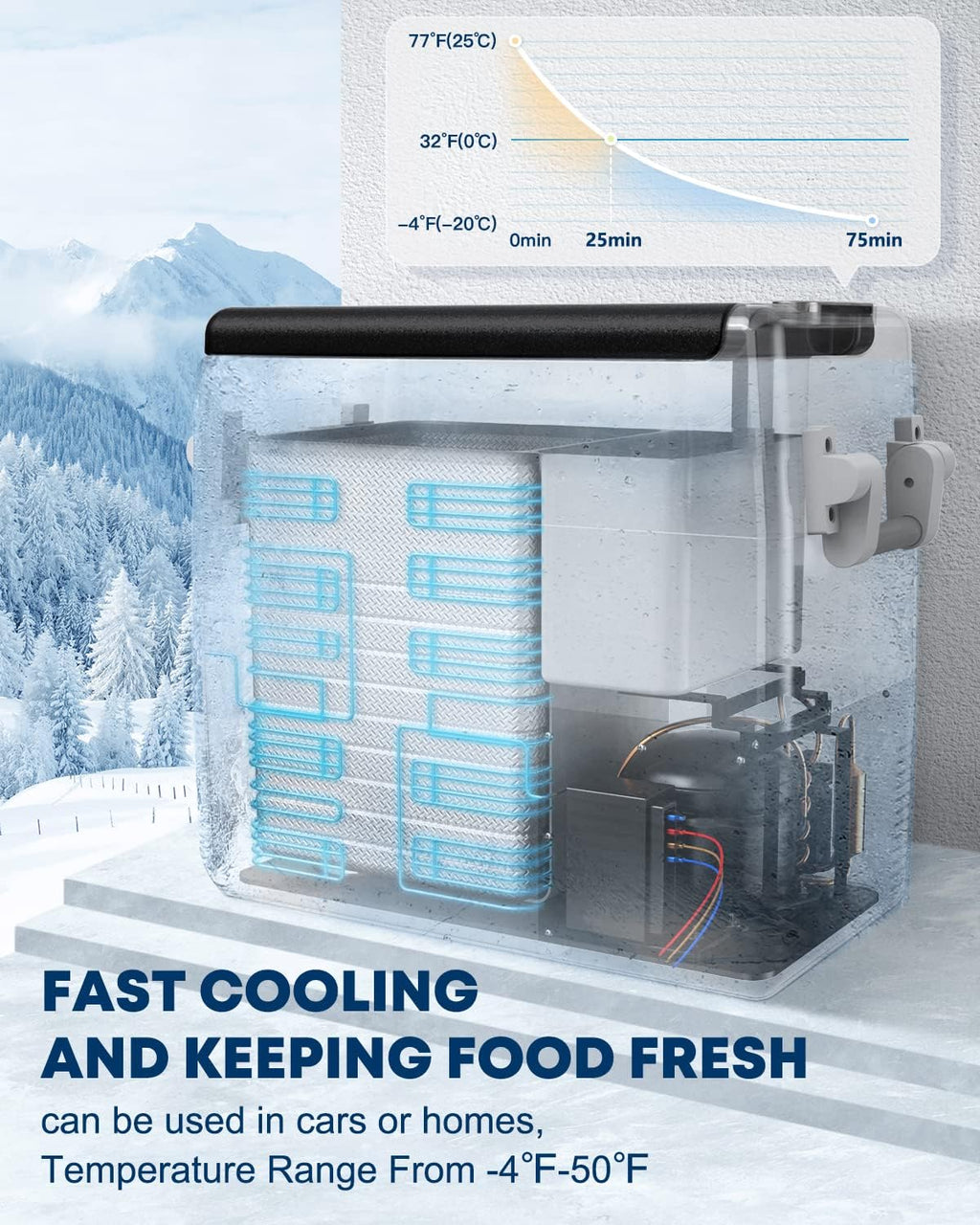 12 Volt Portable Car Fridge 53 Quart Dual Zone Freezer W615