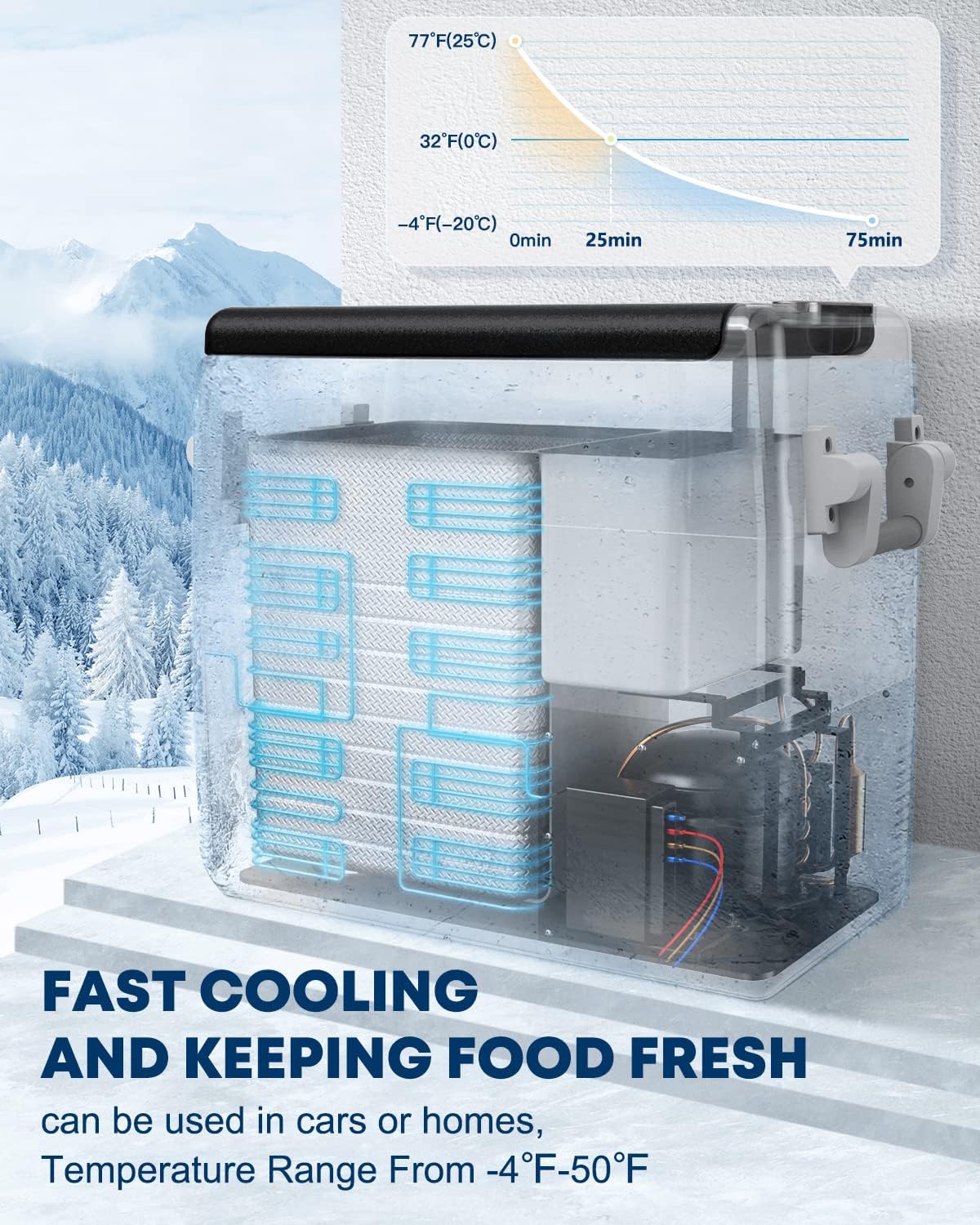 12 Volt Portable Car Fridge 53 Quart Dual Zone Freezer W615
