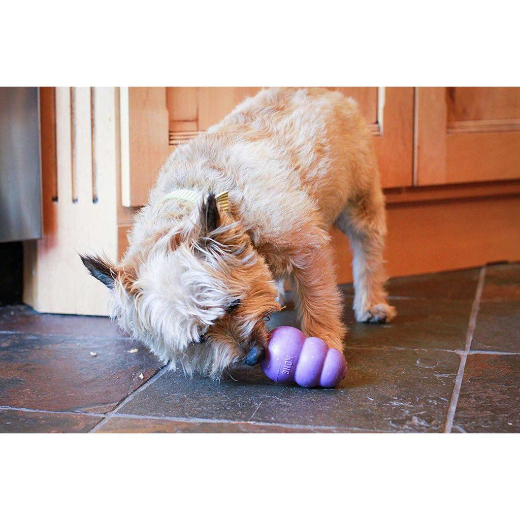 Senior Dog Toy C5171