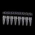 PCR 0.2ml Thin Wall Flat Cap Strip of 8 Tubes, Pack of 125 O64028