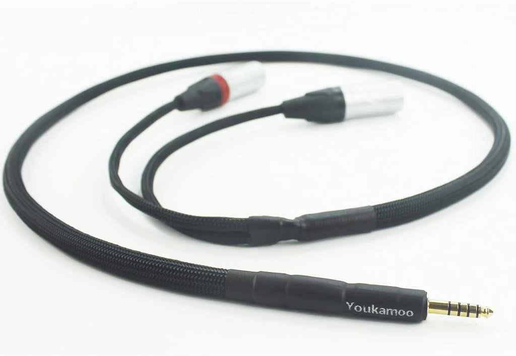 4.4mm to Dual XLR Male Balanced Audio Adapter Cable 5 FT E10532