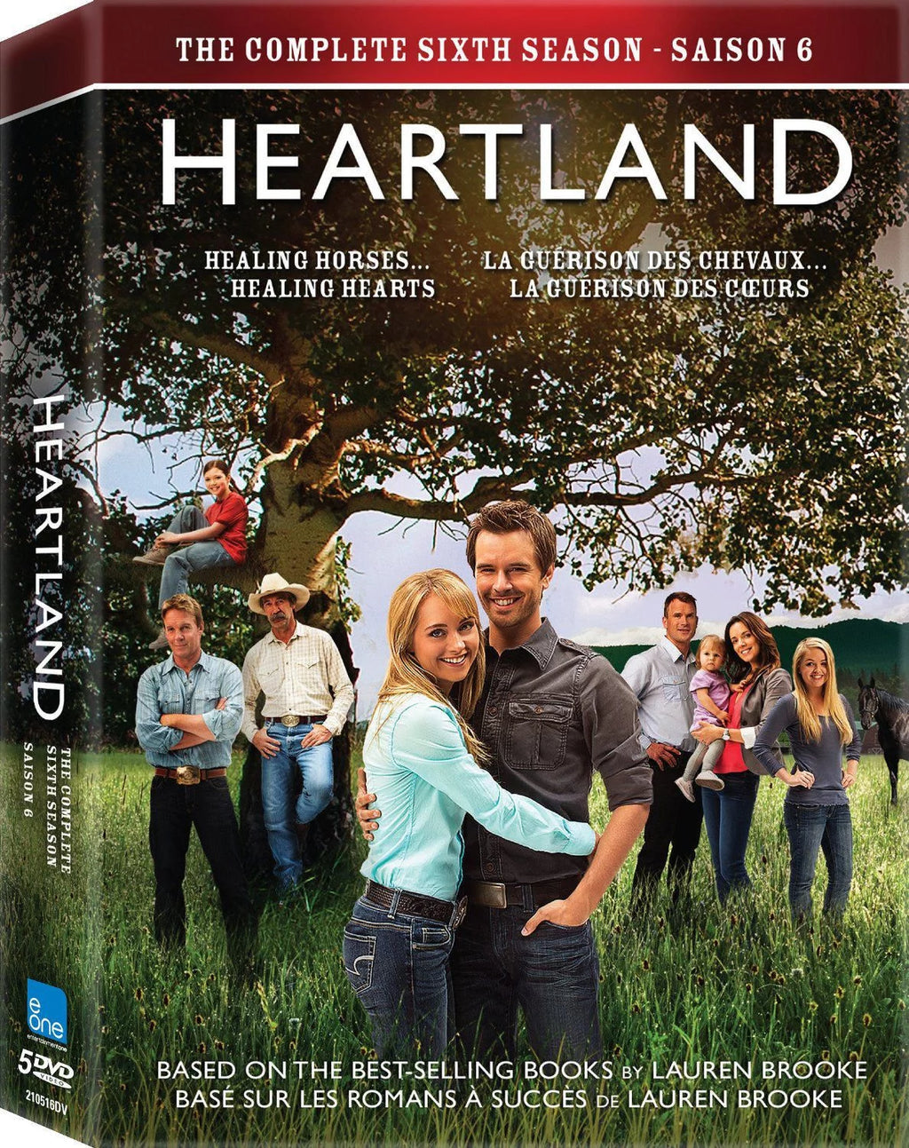 Heartland: The Complete Sixth Season DVD P925766
