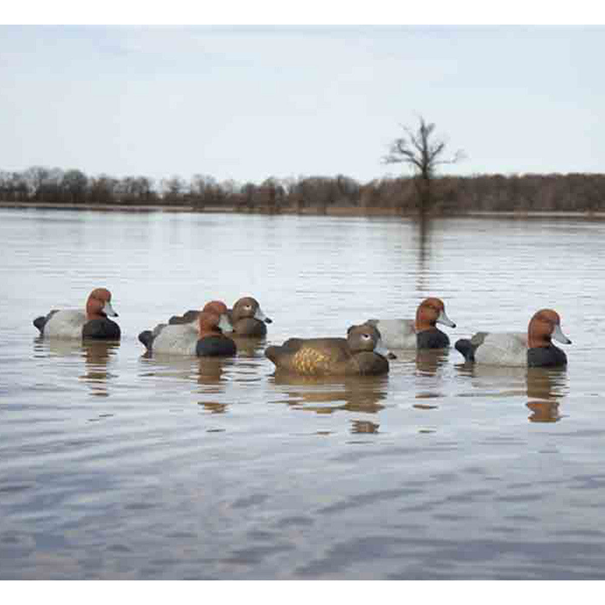 6 Pack Foam Filled Duck Decoys N57399