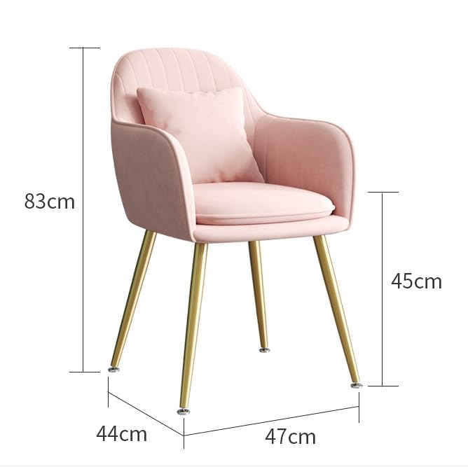 Leather Dining Chair with Backrest G5199