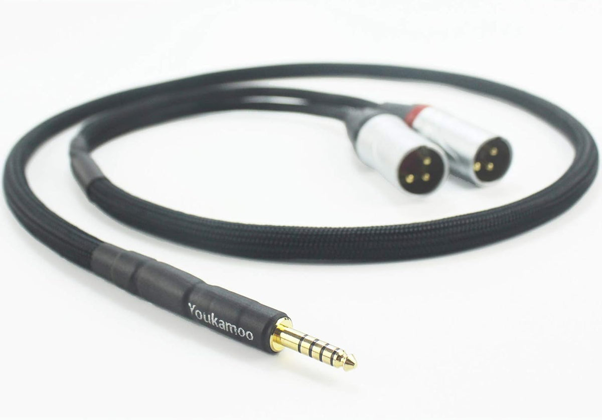 4.4mm to Dual XLR Male Balanced Audio Adapter Cable 5 FT E10532