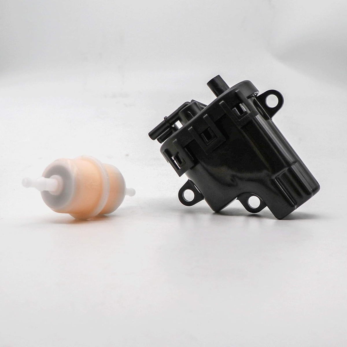 Fuel Pump with Fuel Filter S6029