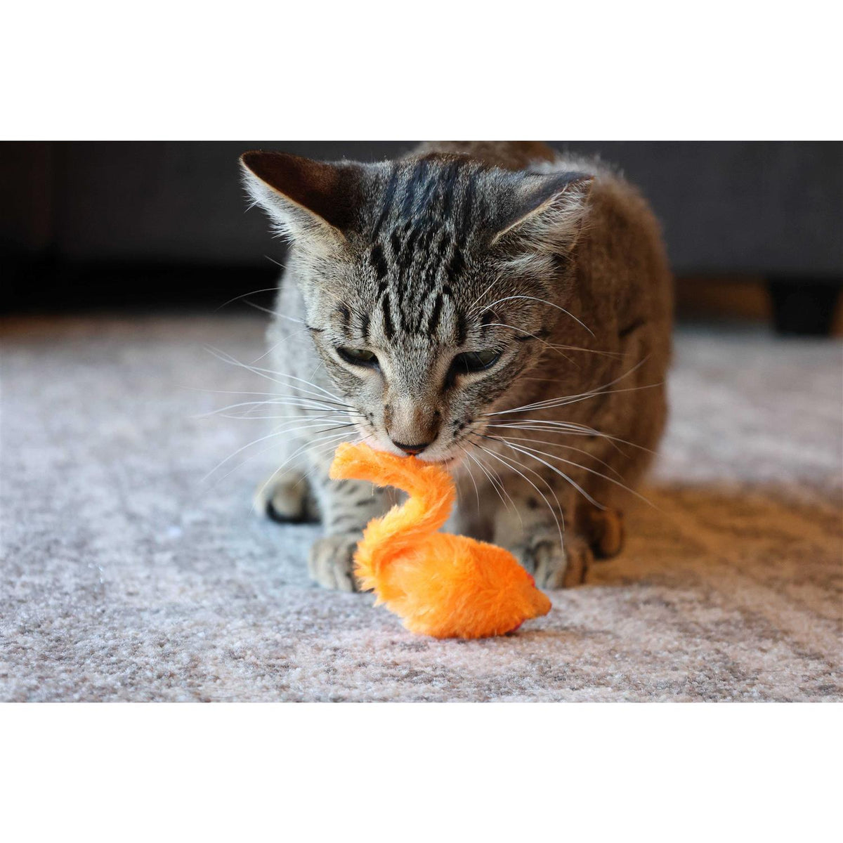 24 Piece Cat Toys T884