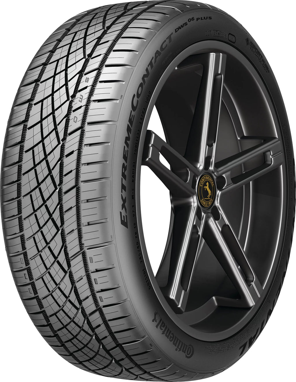 245/45ZR20 All Season Passenger Tire H165