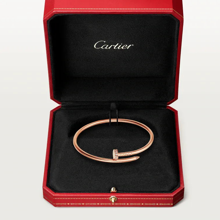 Bracelet C860