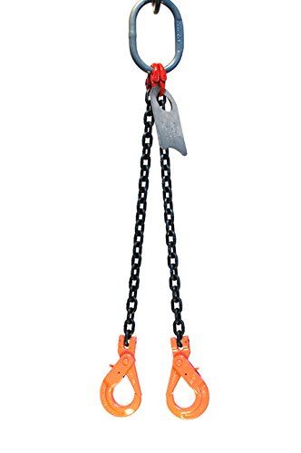 3/8" x 10' Double Leg Chain Sling with Hooks A103304