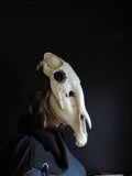 Horse Skull Mask Animal Cosplay Accessories E854