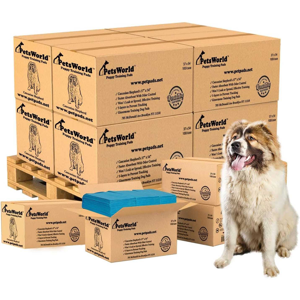 XXL Tear Resistant Pet Potty Pads K963