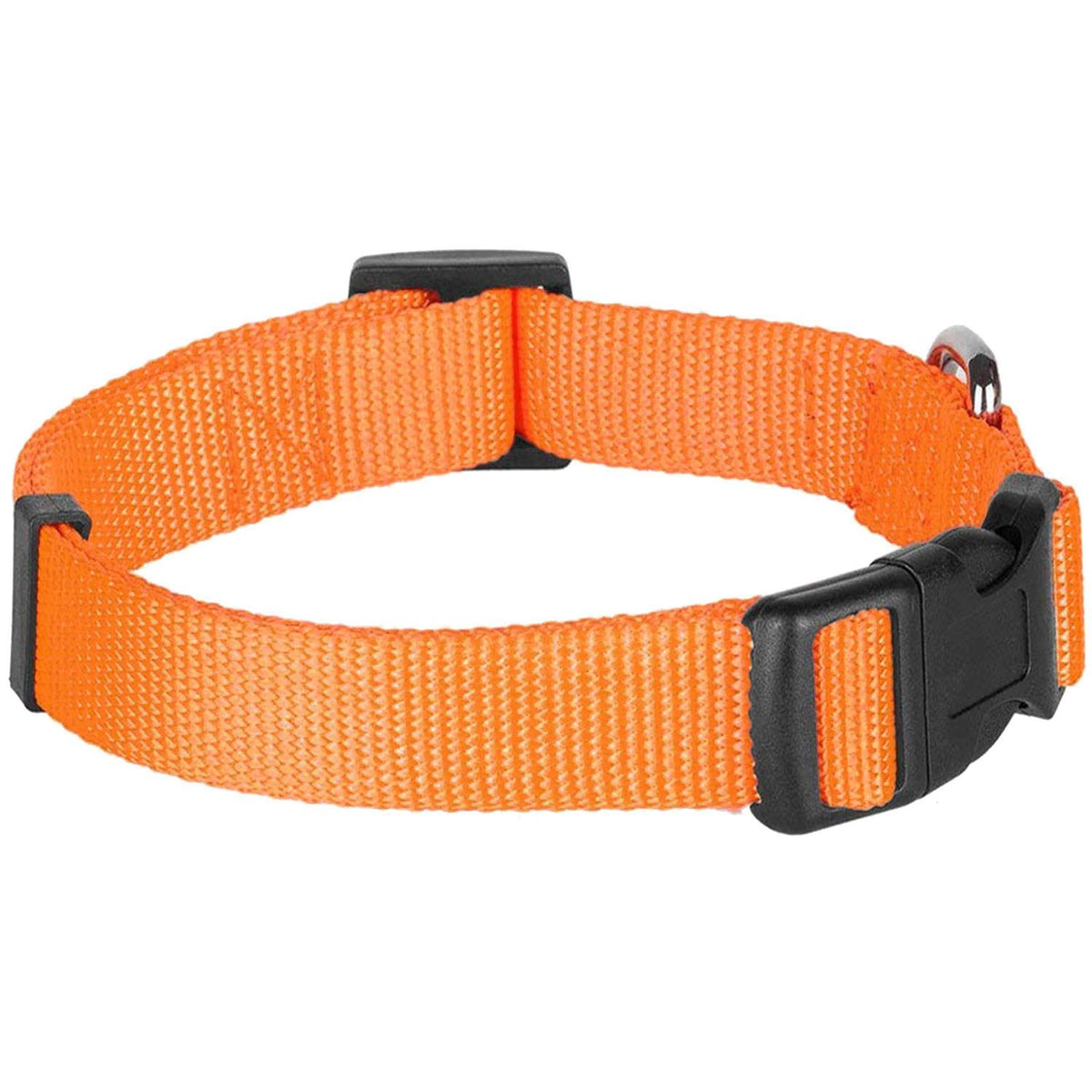 Classic Dog Collar M736194