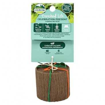 Enriched Life Celebration Cupcake T32076
