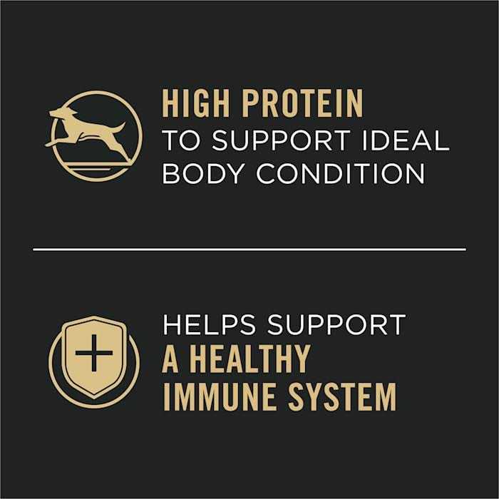 High Protein Wet Dog Food Chicken and Carrots Entree G7112