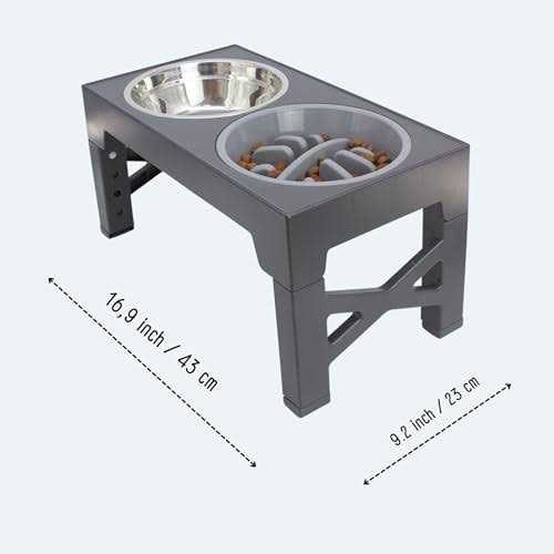 Elevated Slow Feeder Dog Bowls Set with 2 Stainless Steel & 1 No Spill Bowl C466