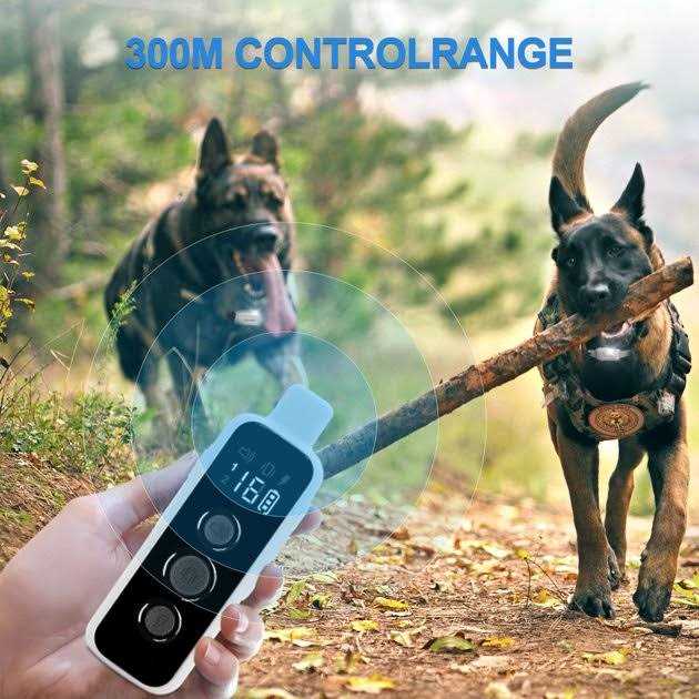 Remote Dog Training Collar D751866