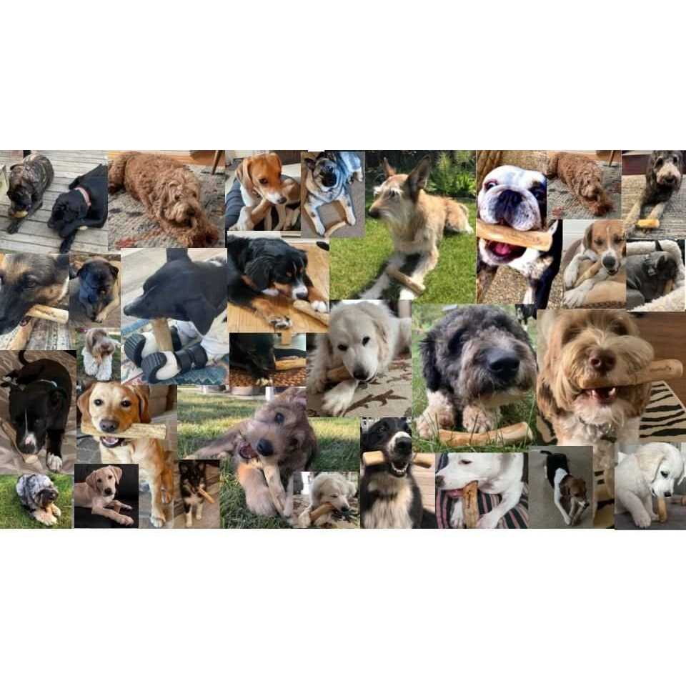 Dog Chew Toys Coffee Wood C32777