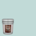 Satin Mint Exterior Paint (5-Gallon) K142