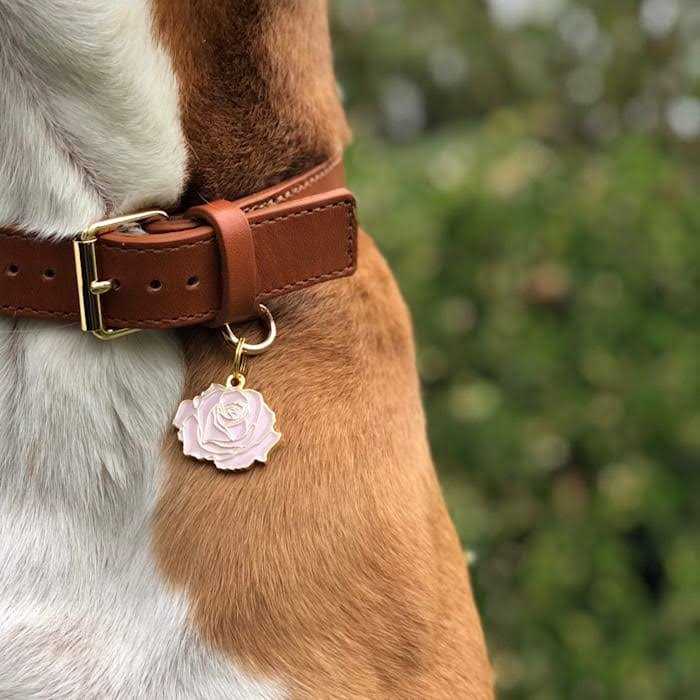 Pet Supplies M75004
