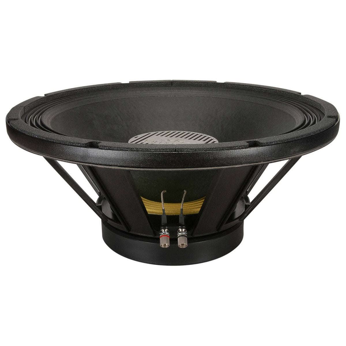 18A Stage Speaker K347