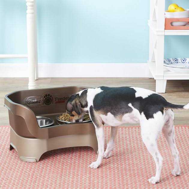 Dog Feeder V1256