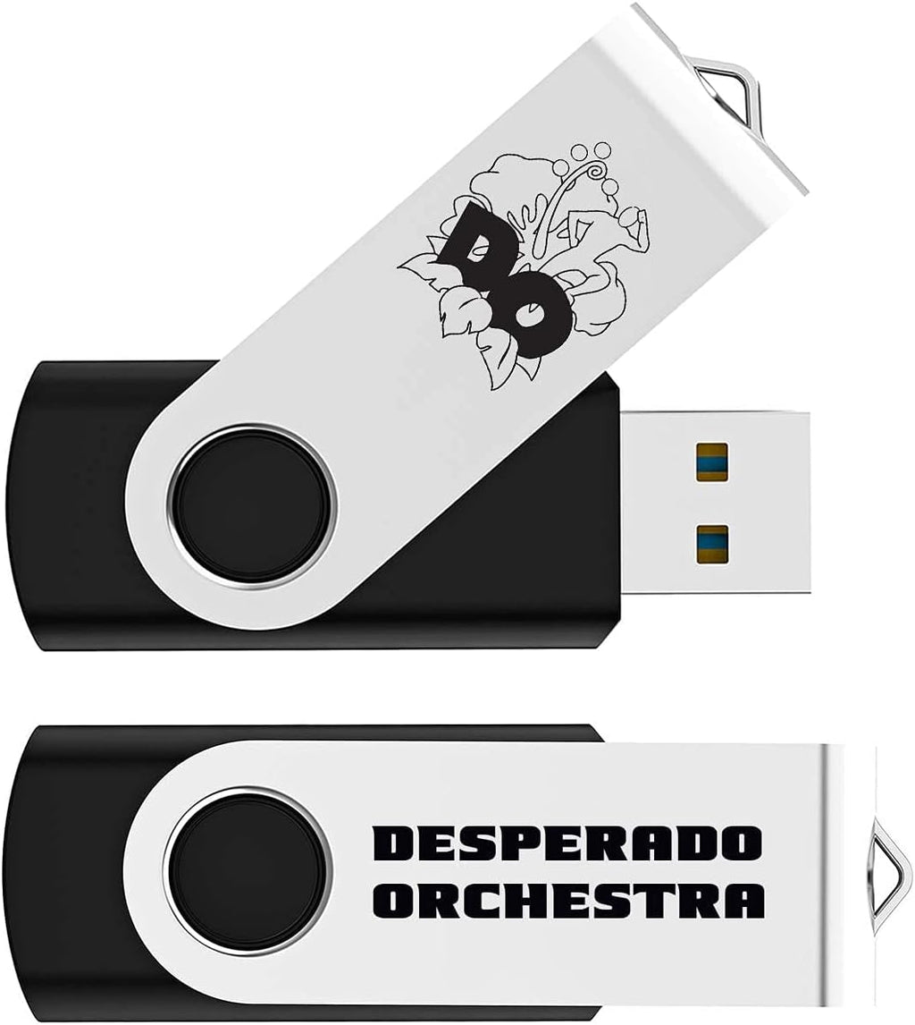 Black Pack of 2 Swivel USB Flash Drives Z433