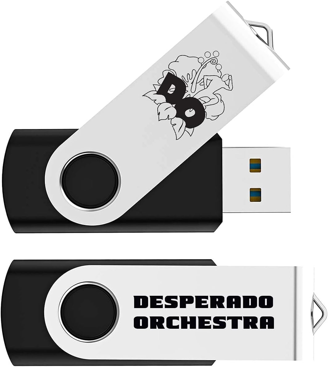 Black Pack of 2 Swivel USB Flash Drives Z433