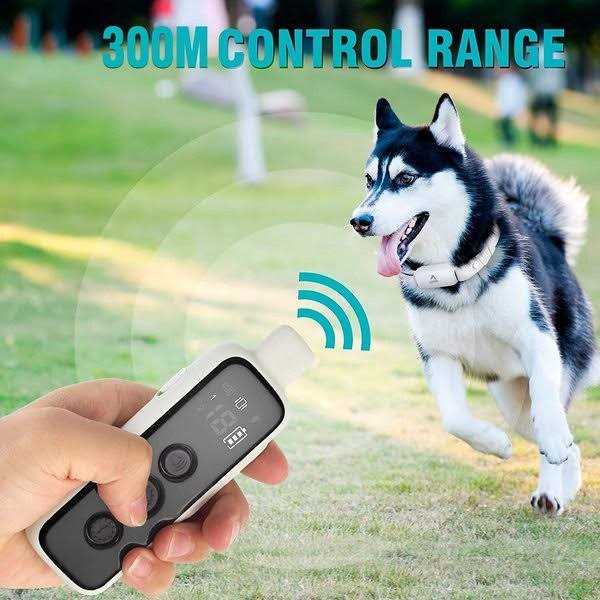 Remote Dog Training Collar D751866