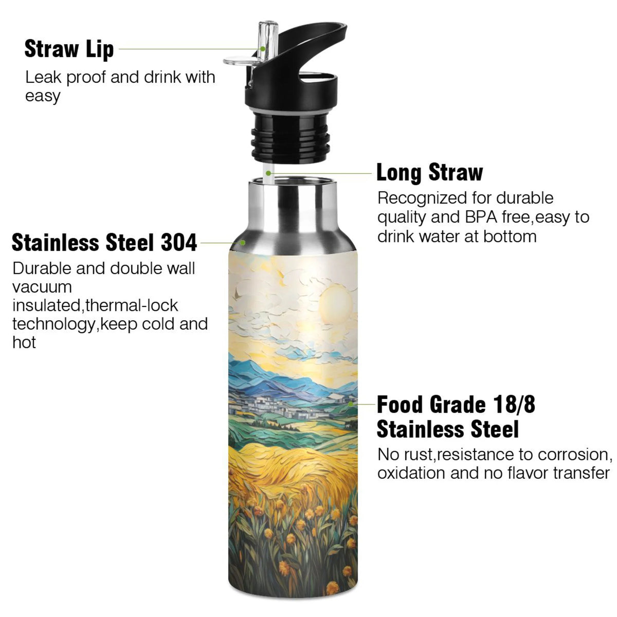 20 oz Insulated Stainless Steel Water Bottle with Straw Lid Q51447