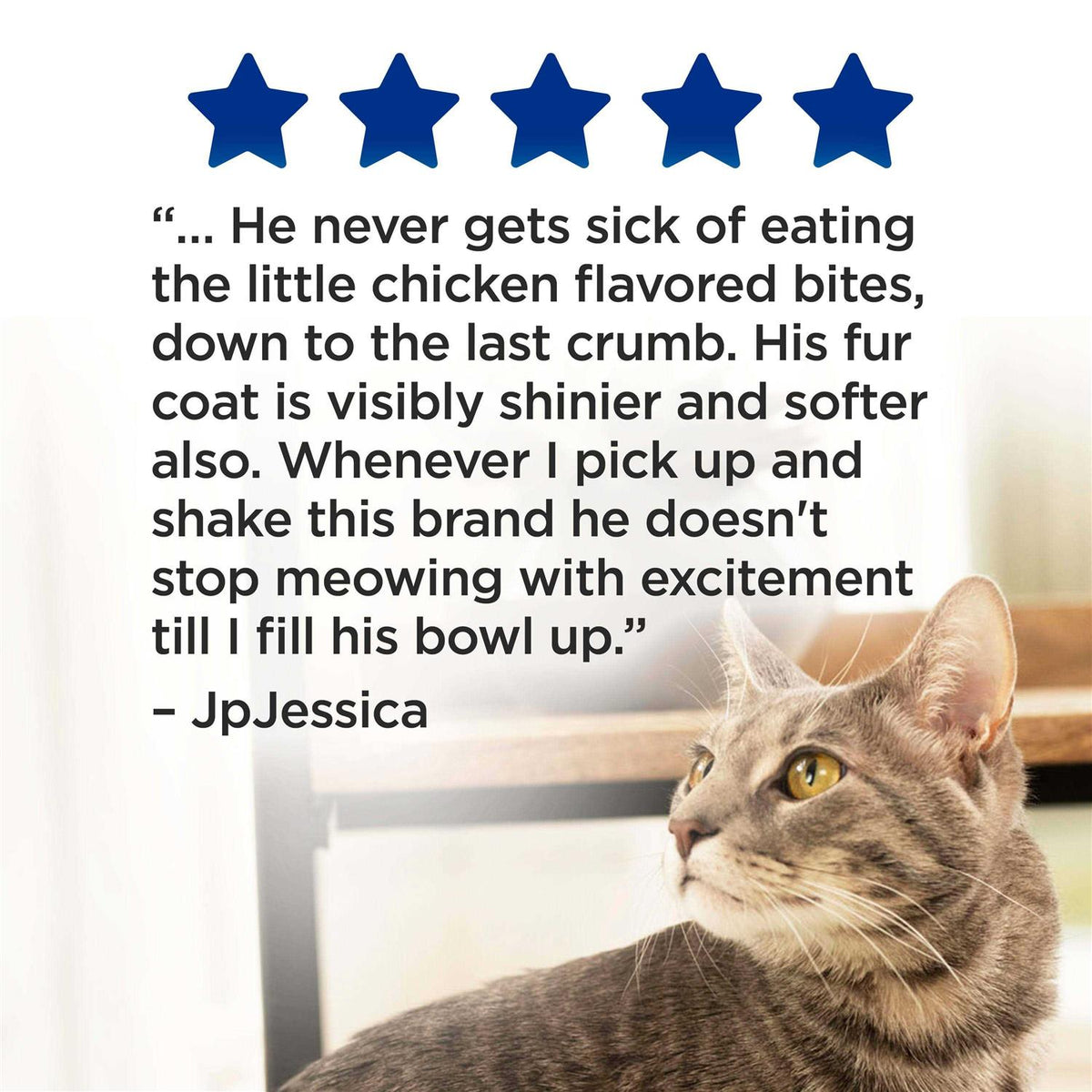 Complete Dry Cat Food B88496