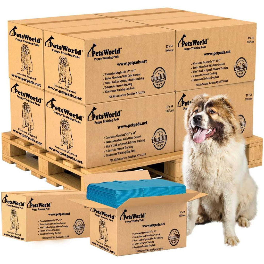 XXL Tear Resistant Pet Potty Pads K963