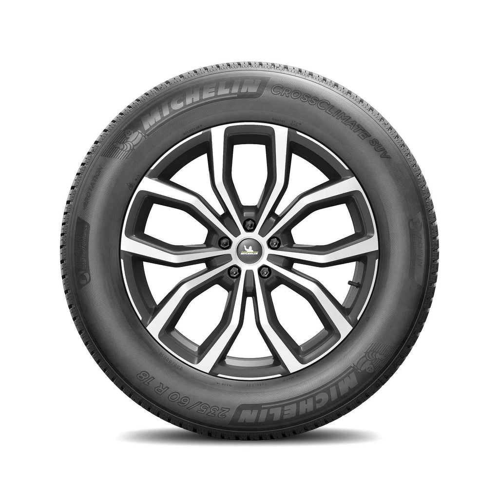 All Weather 265/50R19 110V XL SUV/Crossover Tire Z277