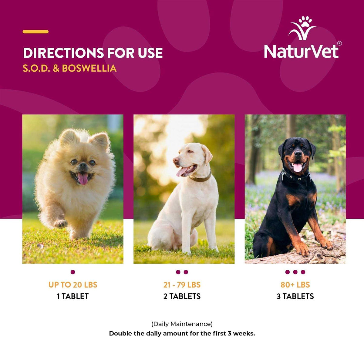 Boswellia Tablets for Dogs S623
